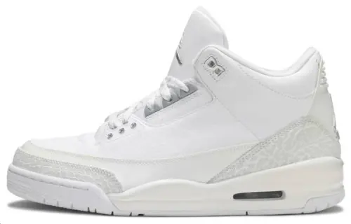 Jordan 3 Retro Silver Anniversary