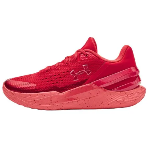 Under Armour Curry 2 Low FloTro Davidson