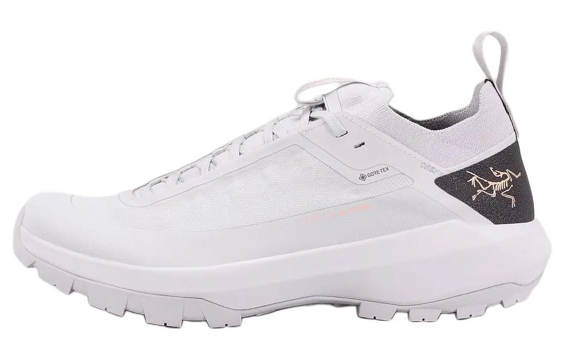 Arc'teryx VERTEX Low top Mountaineering & Hiking Shoes Men's Gray