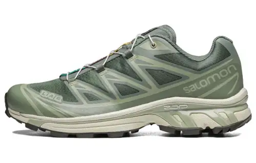 SALOMON XT 6 'Desert Sage'