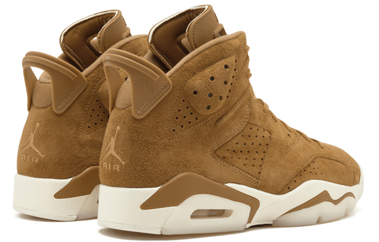 Мужские кроссовки Jordan Air Jordan 6 Retro Wheat (коричневые) — 金/金/帆色 — фото 5