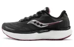 saucony Women's Triumph 19 'Shadow Quartz'