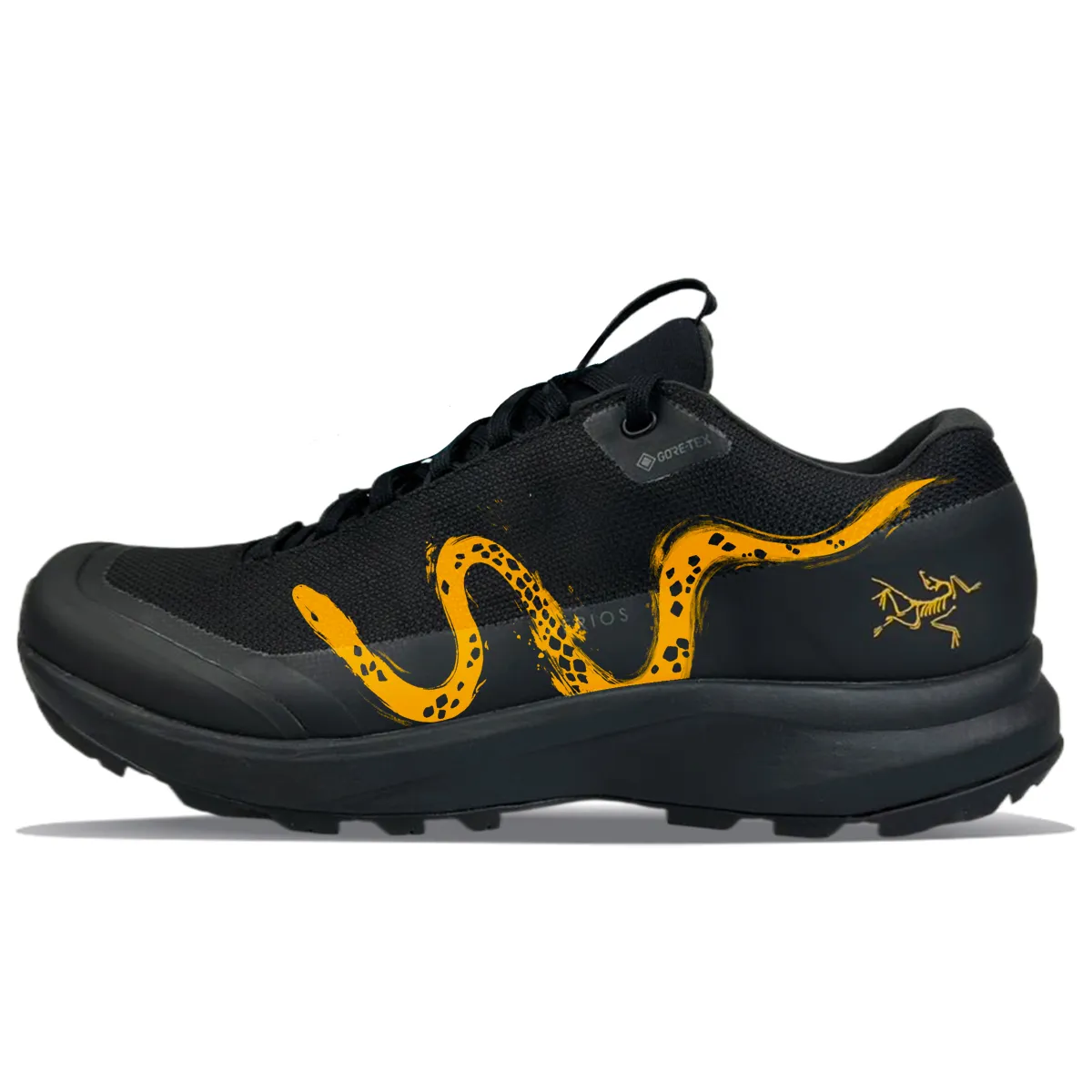Arc'teryx Aerios Fl 2 Abrasion Resistant Abrasion Resistant Low top Outdoor Shoes Unisex Black