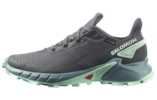 SALOMON Alphacross 4 Gore Tex / L00Women's