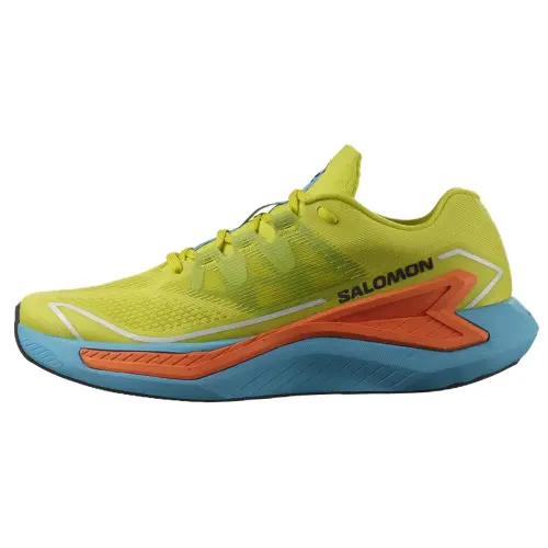 Drx Bliss Salomon 'Sulphur Spring Dragon Fire'