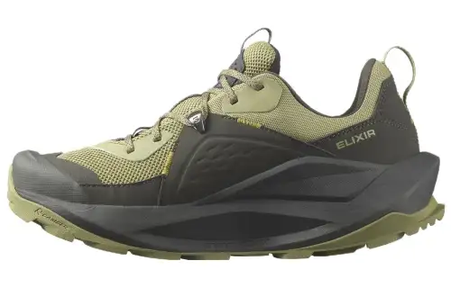 SALOMON Elixir GORE-TEX 'Black Dried Herb'