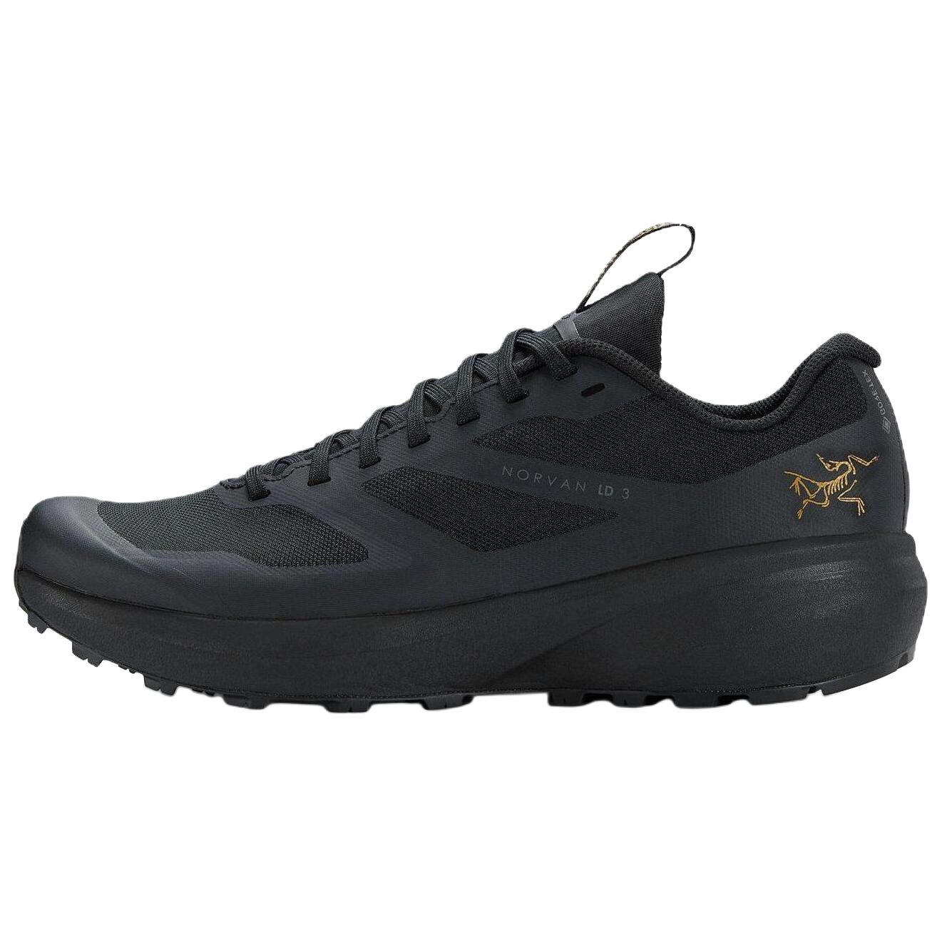 Кроссовки Arcteryx Arcteryx NORVAN LD 3 GORE-TEX (черные)