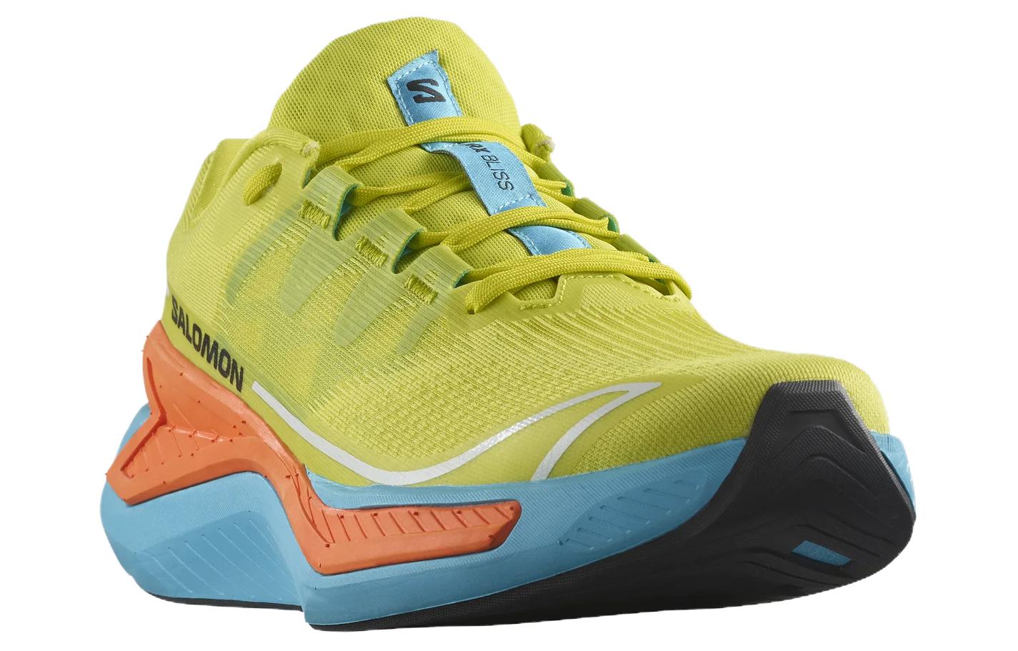 Drx Bliss Salomon ‘Sulphur Spring Dragon Fire’