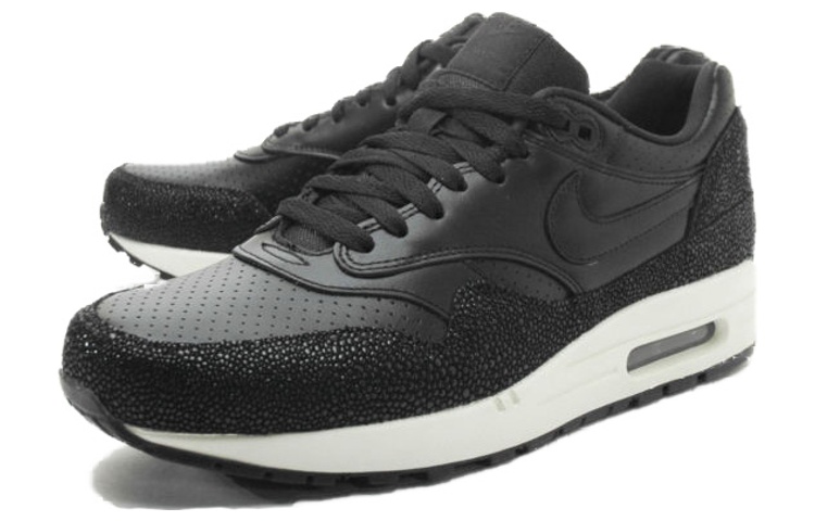 Nike Air Max 1 Stingray Pack