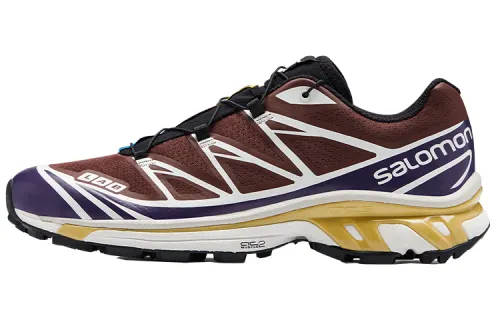 SALOMON XT 6 'Brown Burgundy'