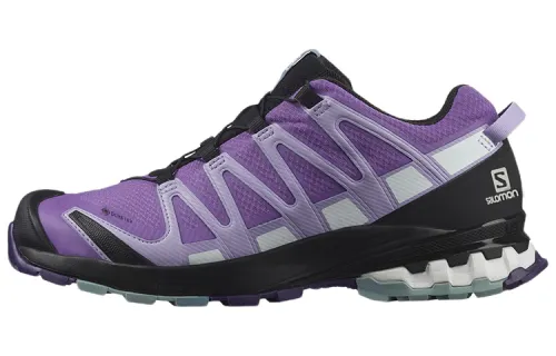 SALOMON Xa Pro 3D V8 Gore Tex Women's