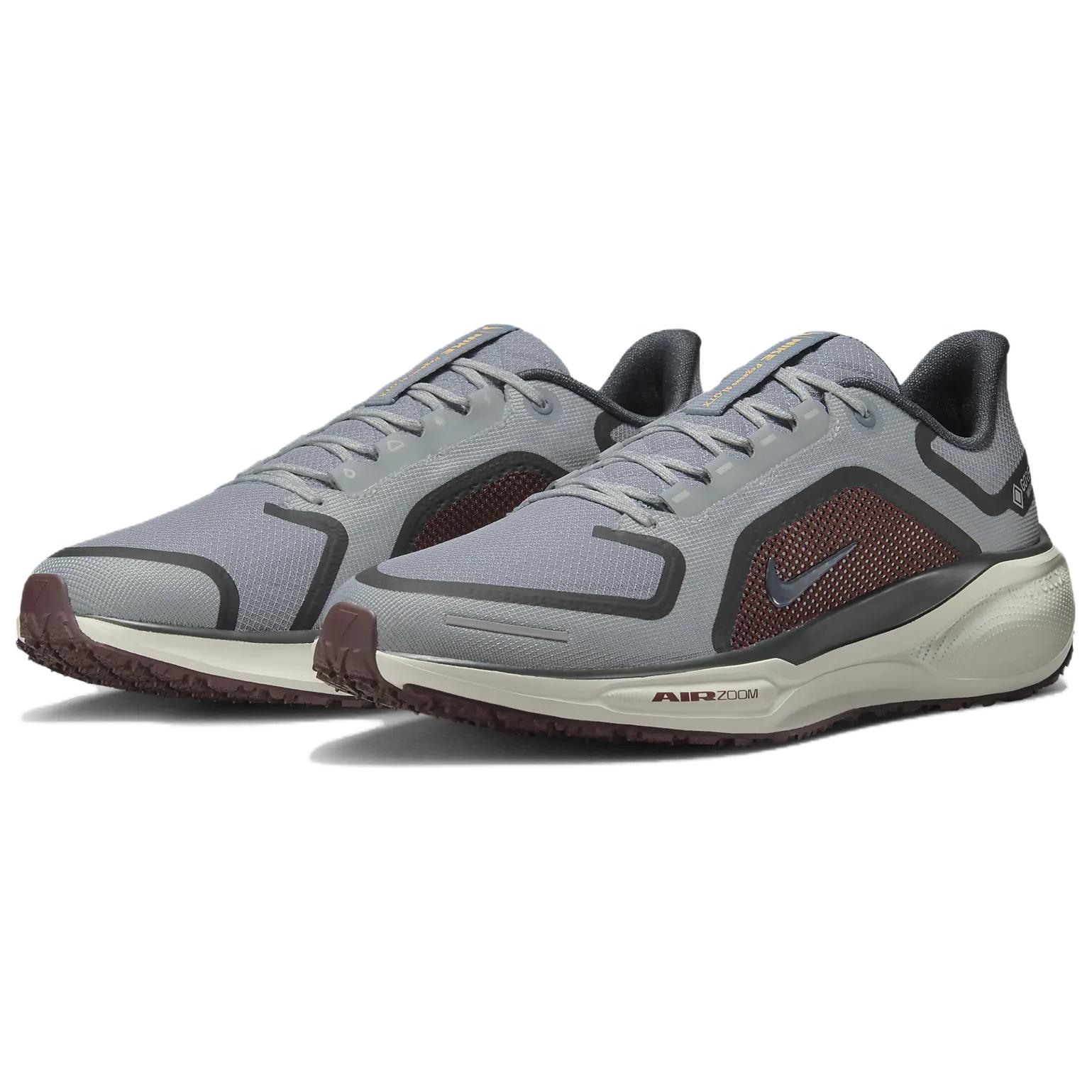 Nike Air Zoom Pegasus 41 Gore Tex Light Pumice Burgandy Crush
