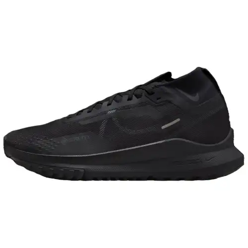 Nike Pegasus Trail 4 Gtx V2 'Black Dark Grey'