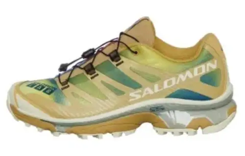 XT-4 Salomon Og 'Aurora Borealis Pack - Southern Moss'