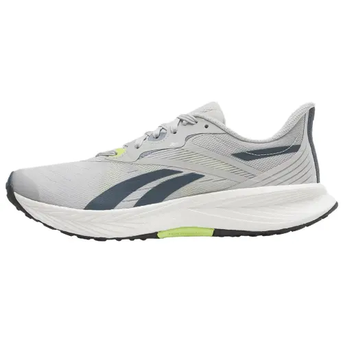 Reebok Floatride Energy 5 Wear resistant And Lightweight Low top Running Shoes Men's Gray