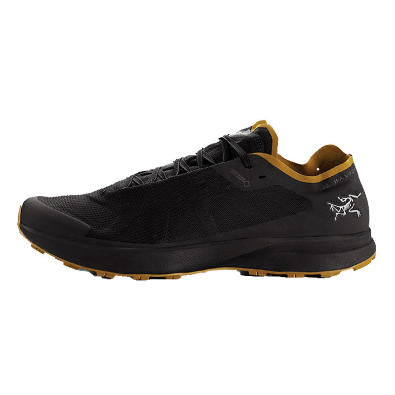 Мужские кроссовки Arcteryx Arcteryx Norvan SL GTX (черные)