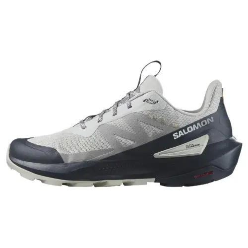 Elixir Activ Salomon 'Glacier Grey Carbon'