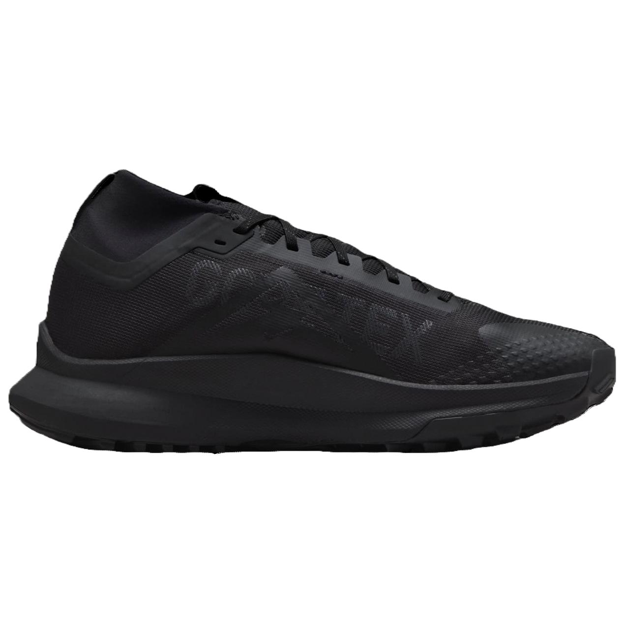 Nike Pegasus Trail 4 Gtx V2 ‘Black Dark Grey’