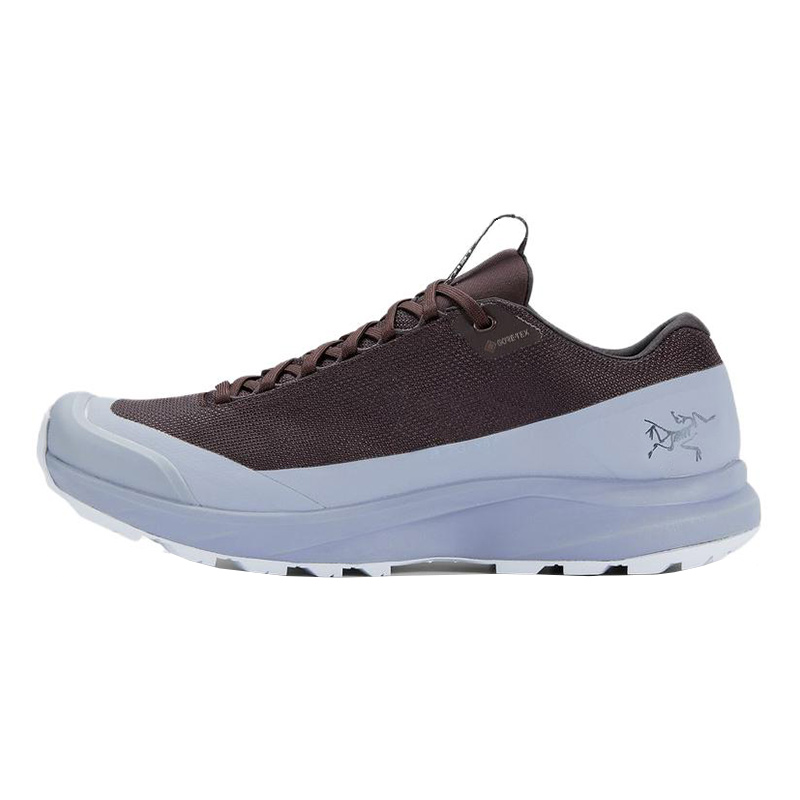 Кроссовки Arcteryx Arcteryx Aerios FL 2 GTX (коричнево-серые)