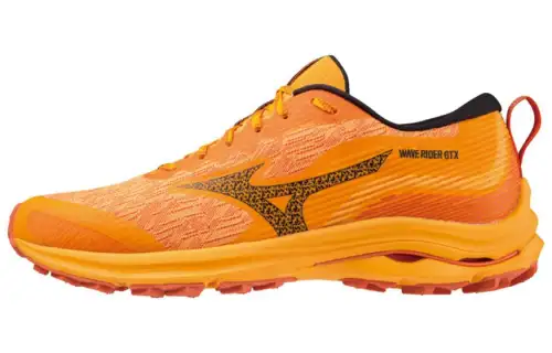 Wave Rider Mizuno GORE-TEX 'Zinnia'
