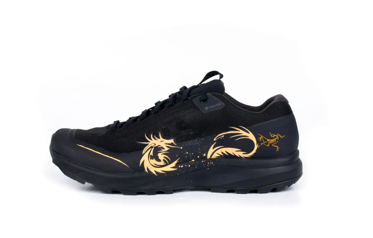 Arc'teryx Aerios Fl 2 Low top Outdoor Shoes Unisex Black