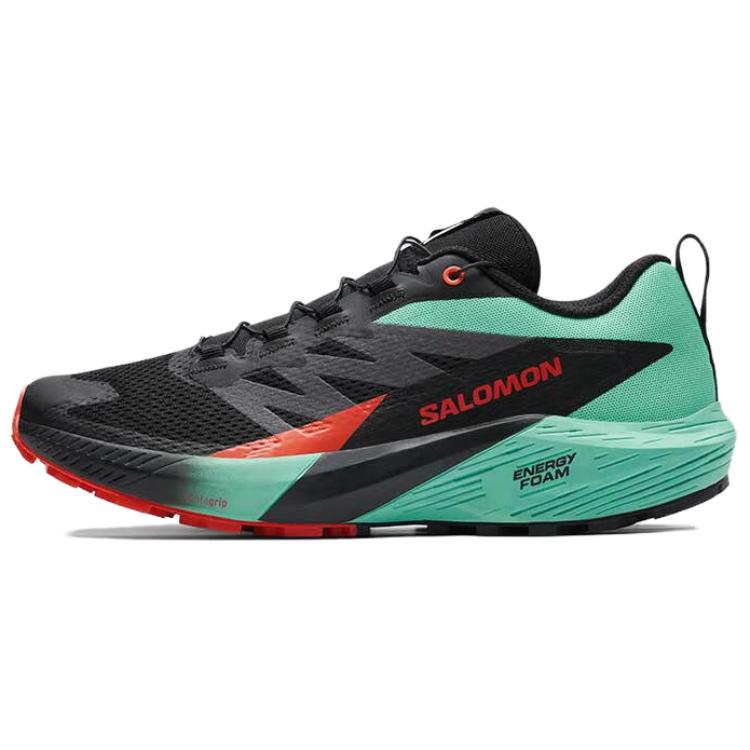 Мужские кроссовки Salomon Sense Ride 5 (черные)
