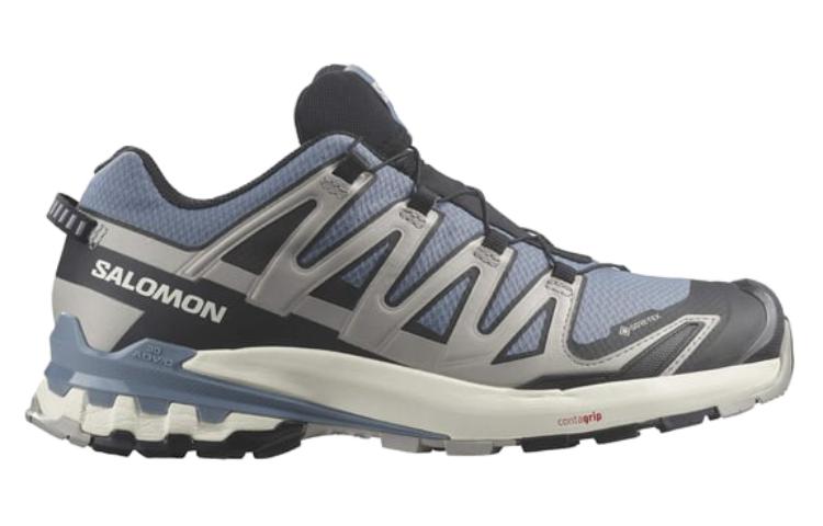 SALOMON Xa Pro 3D V9 Gore Tex Flint Stone Black Ghost Grey