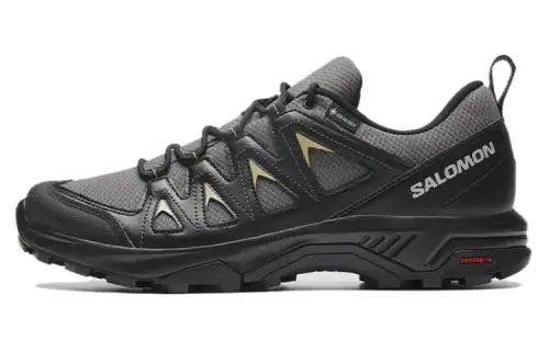 SALOMON X Braze Gtx 'Black'