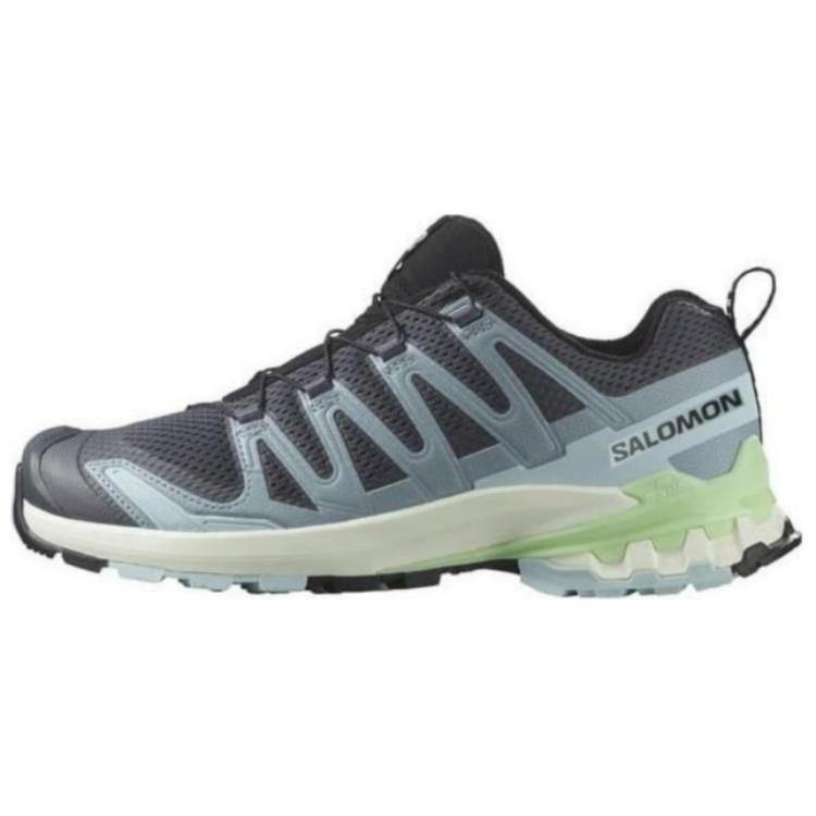 Женские кроссовки Salomon XA Pro 3D V9 W (серо-голубые)