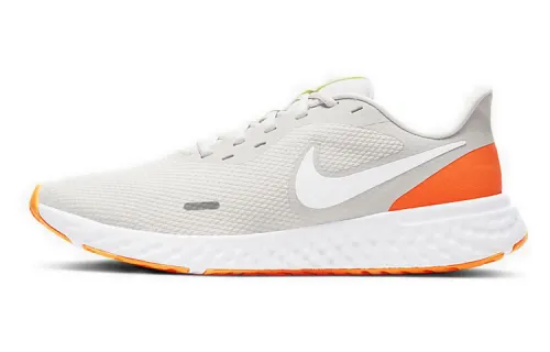 Nike Revolution 5 Platinum Tint