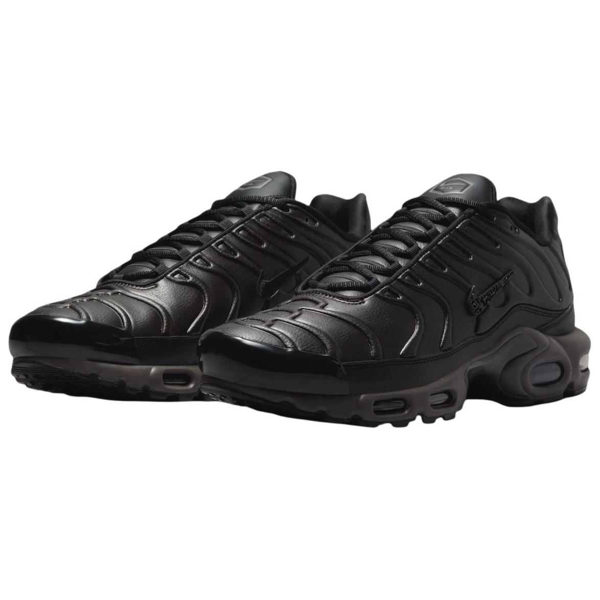 Nike Air Max Plus Premium Paris