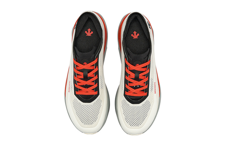 DESCENTE RUNNING Low top Running Shoes Women’s Light Gray