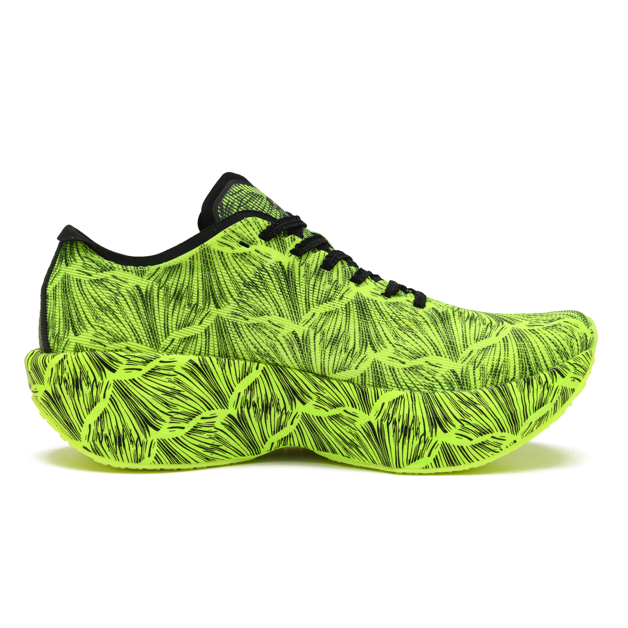 50 Low top Running Shoes Unisex Oasis