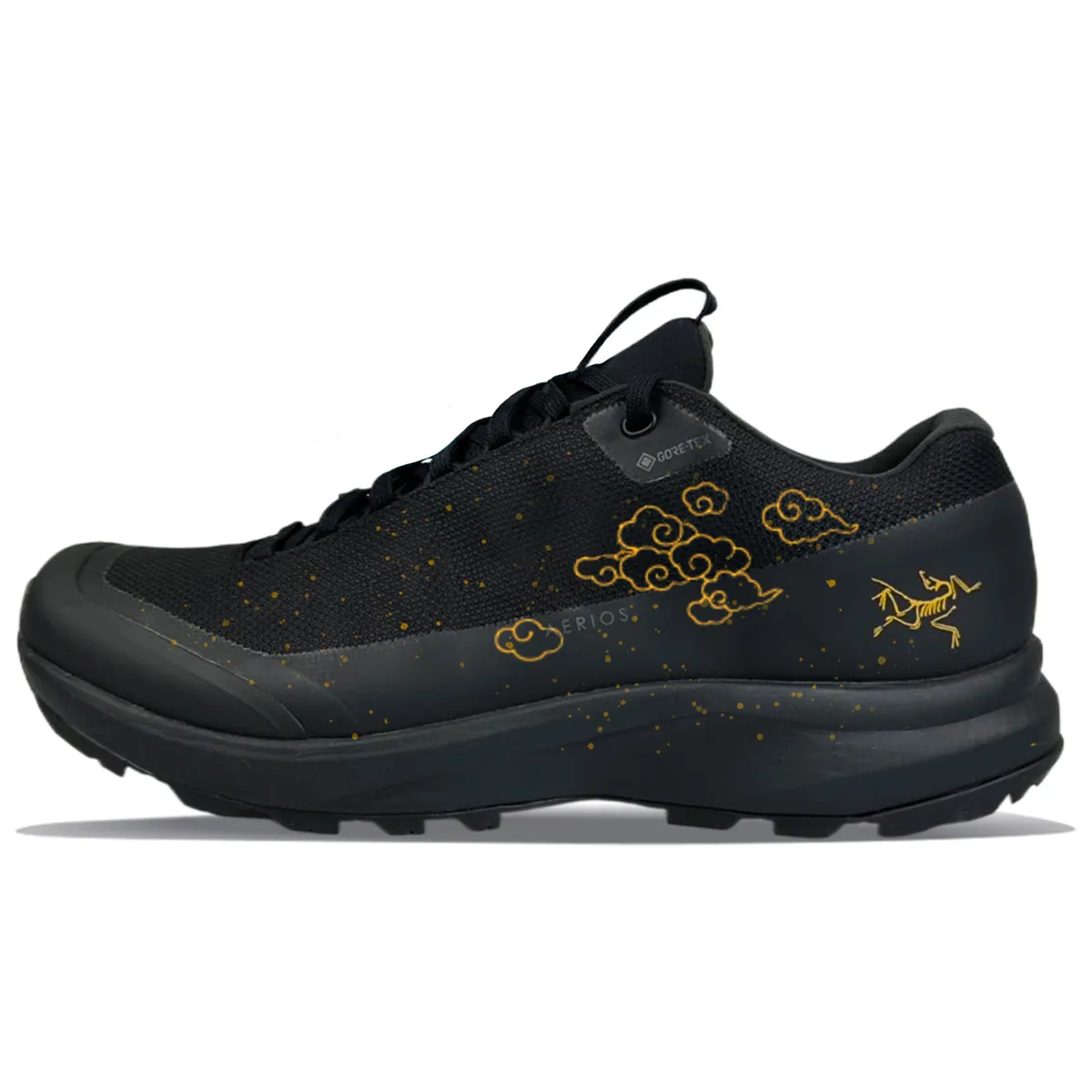 Arc'teryx Aerios Fl 2 Fabric Abrasion Resistant Low top Outdoor Shoes Unisex Black