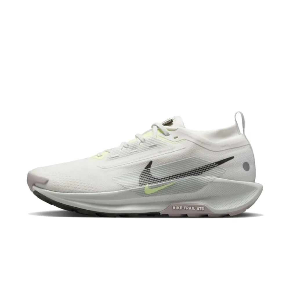 Nike Pegasus Trail 5 Gore Tex Summit White Light Silver College Grey Sequoia
