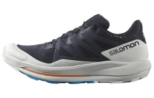 SALOMON Pulsar Trail Gtx 'Night Sky' / L00