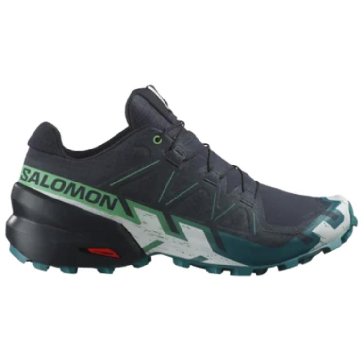 Speedcross 6 Salomon GORE-TEX ‘Carbon Tahitian Tide’