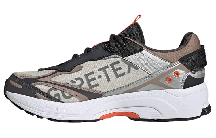 Adidas Spiritain 2000 GORE-TEX 'Aluminum'