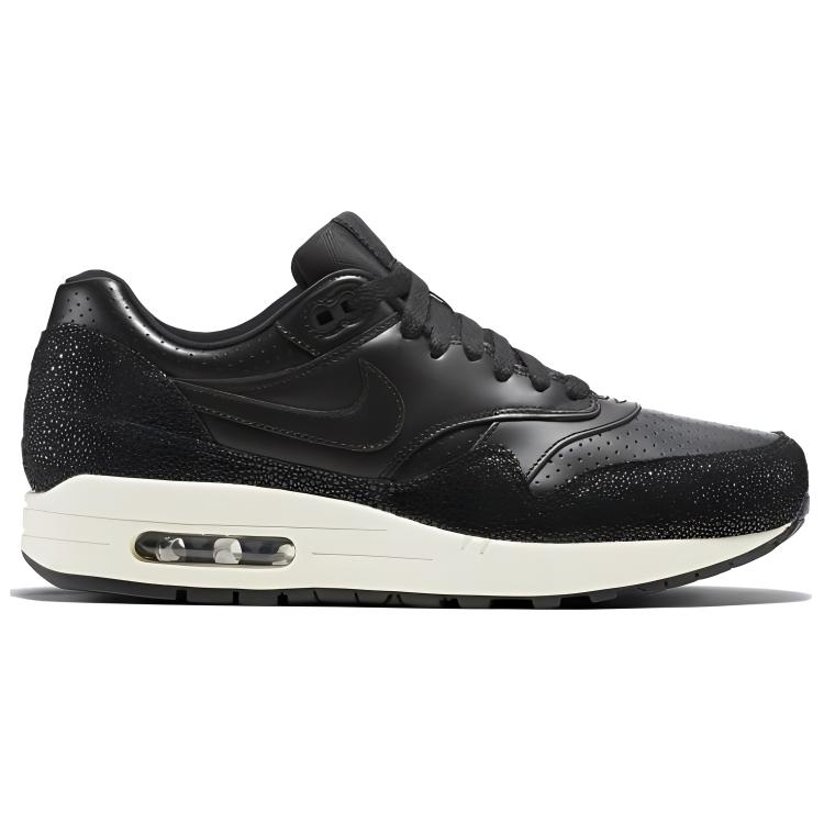 Nike Air Max 1 Stingray Pack