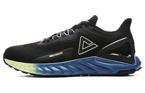 PEAK Taichi 1.0 Plus Cushioning Low top Running Shoes Men's Black Blue