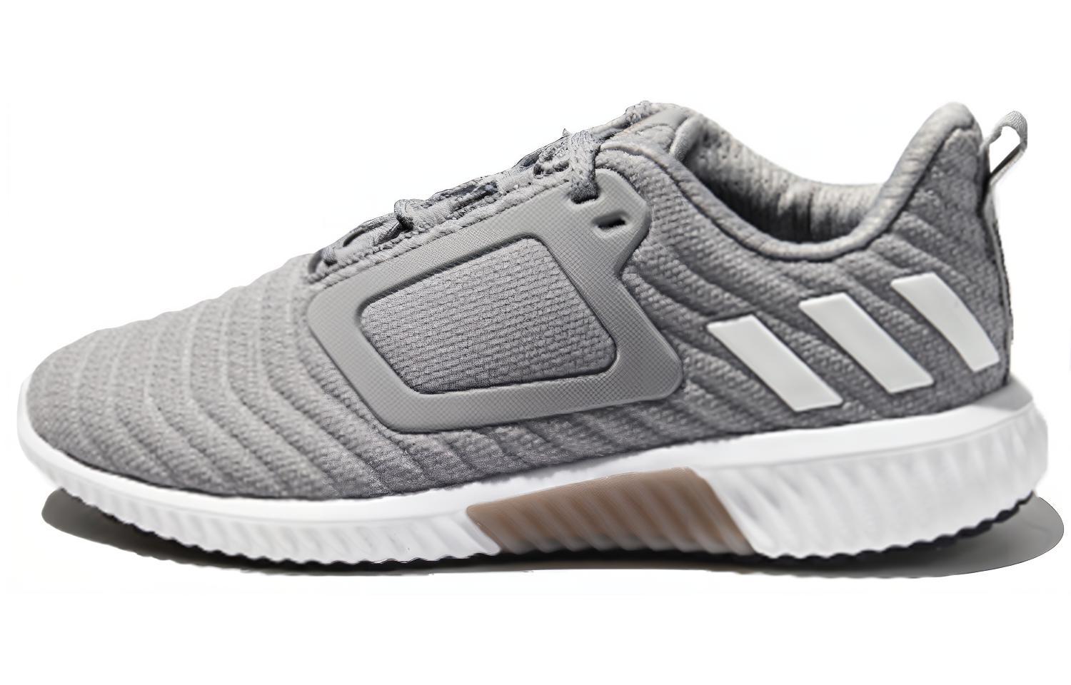 Adidas Climawarm All Terrain Shoes Grey/White Women's
