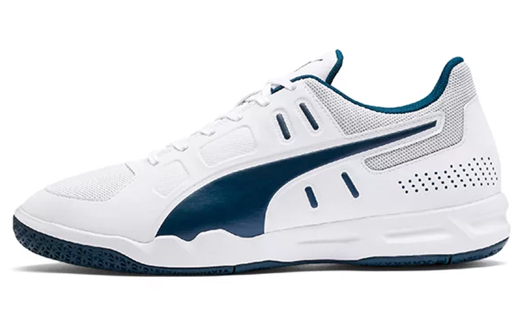 PUMA Auriz Indoor Grey