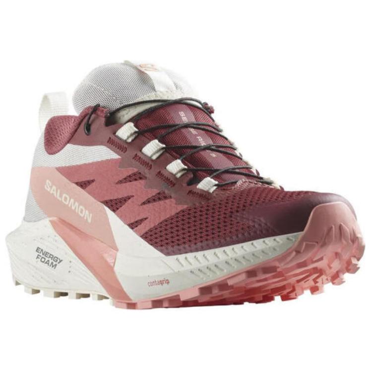 Sense Ride 5 Wmns Salomon GORE-TEX ‘Syrah Peach Amber’ Women’s