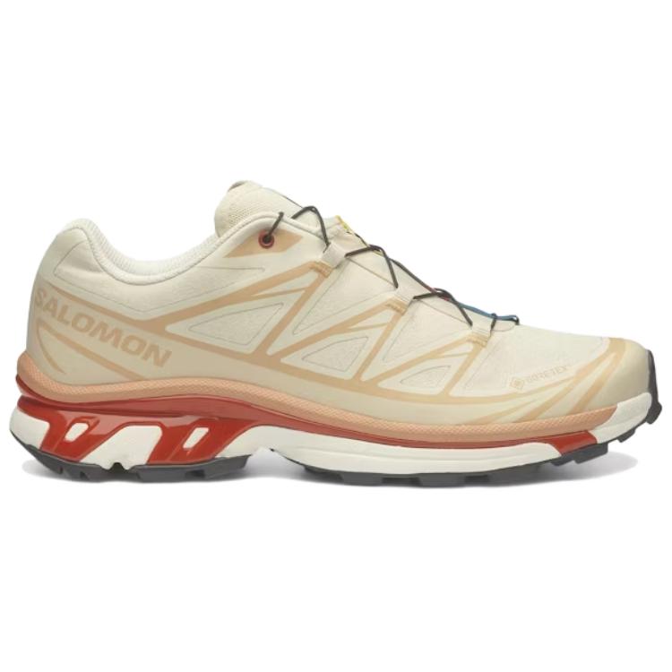 SALOMON XT 6 GORE TEX ‘Almond Milk Burnt Ochre’