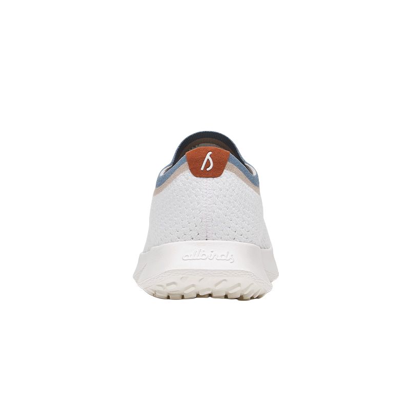 Allbirds Tree Dasher Cushioning Slip Resistant Cushioning Slip Resistant Low top Running Shoes Women’s White Blue