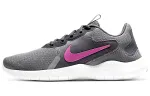 Nike Flex Experience Run 9 'Iron Grey' Women's