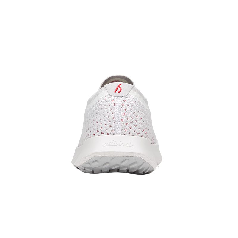 Allbirds Tree Dasher Low top Running Shoes Women’s White Gray