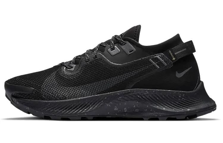Nike Pegasus Trail 2 Gore Tex Black Metallic Dark Grey Women's