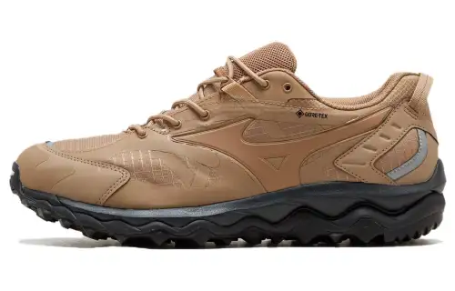 Wave Mujin Mizuno Tl GORE-TEX 'Tiger Eye'