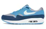 Nike Air Max 1 Blue Fury